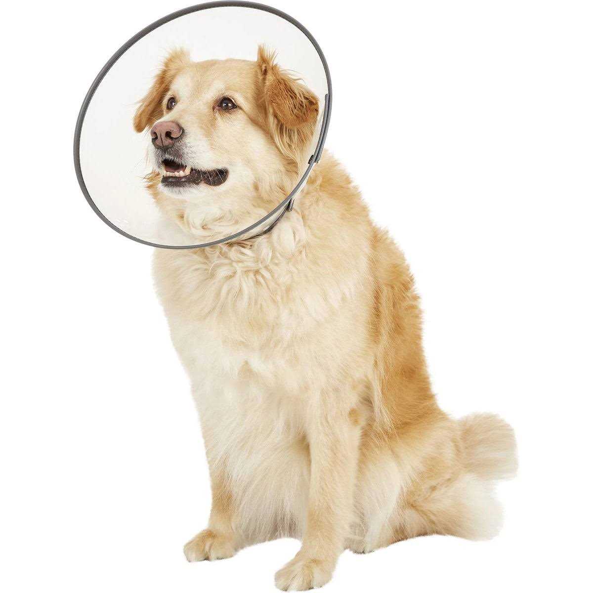 Clear XXL E-Collar D95289