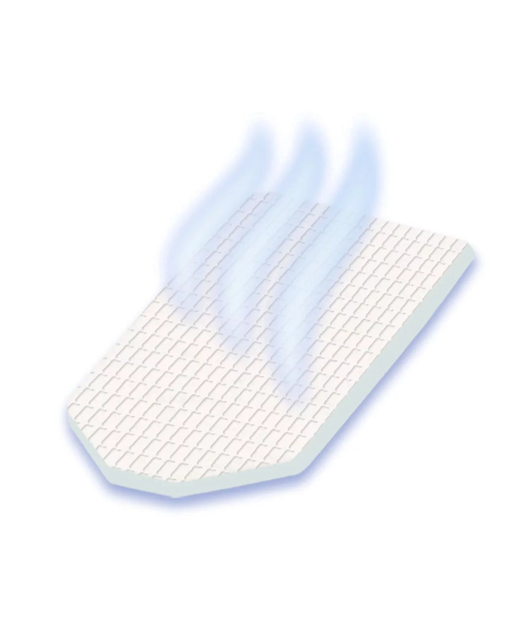 6 count Refill Pads F629675