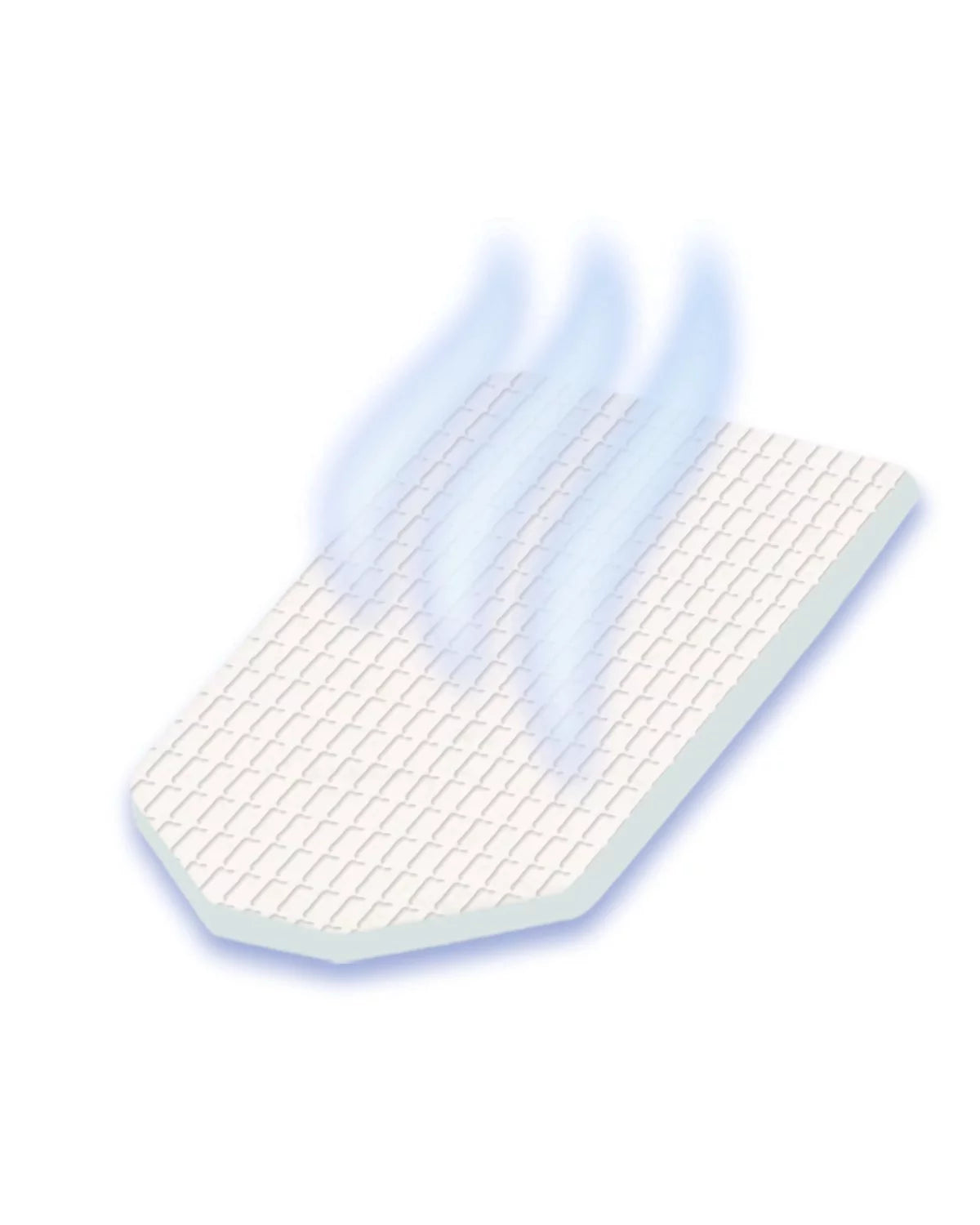 6 count Refill Pads F629675