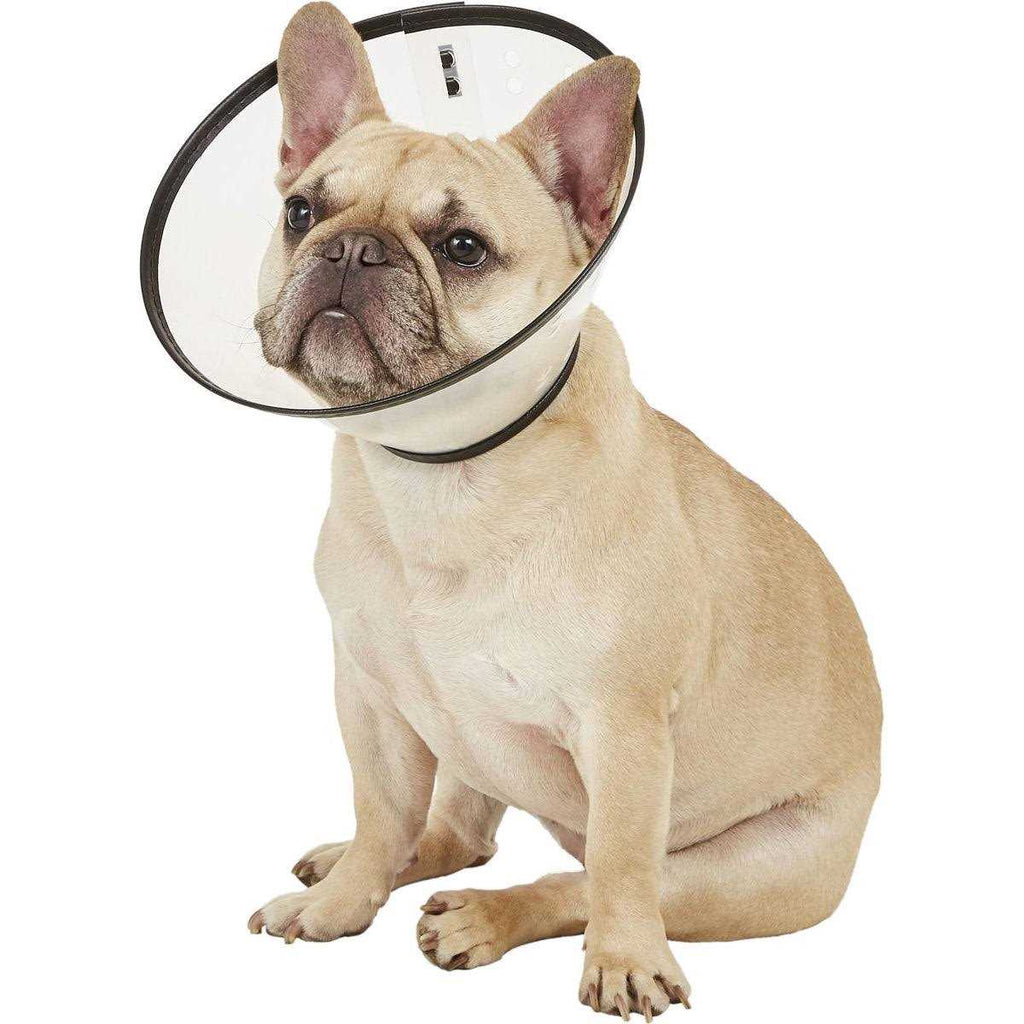 Clear XXL E-Collar D95289