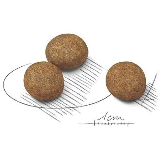 15kg Adult Dog Food S65898