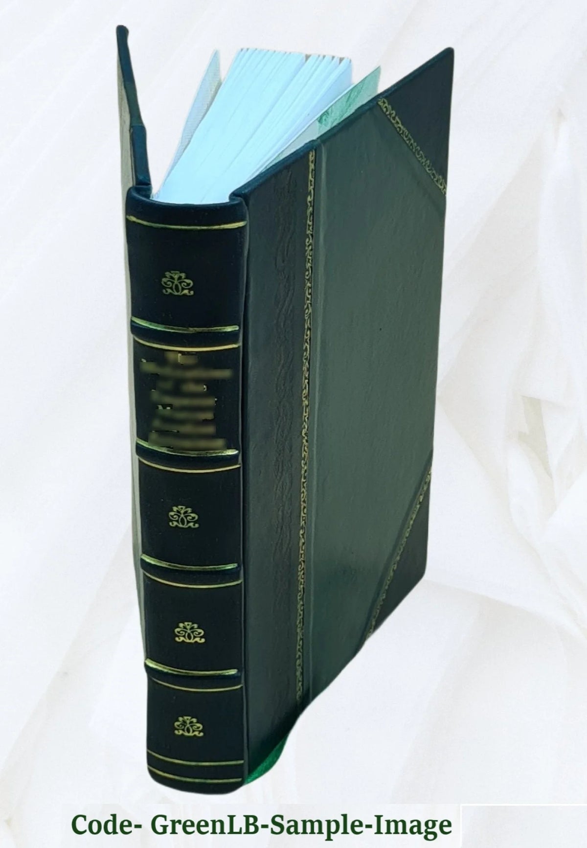 Leather Bound Book V210669