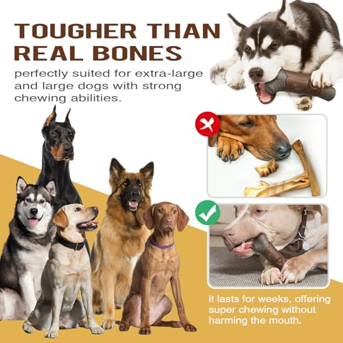Large Durable Squeaky Dog Chew Toy S702