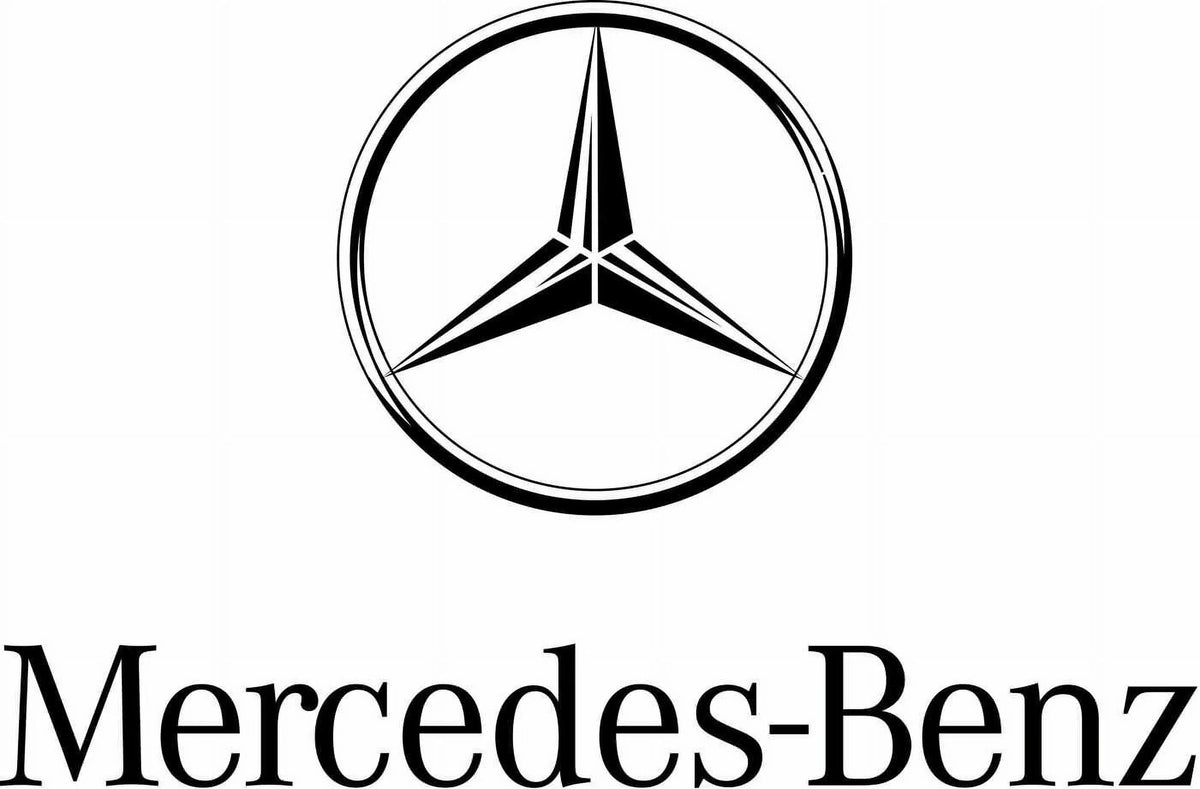 Genuine Mercedes Battery Back Up Secondary Y258