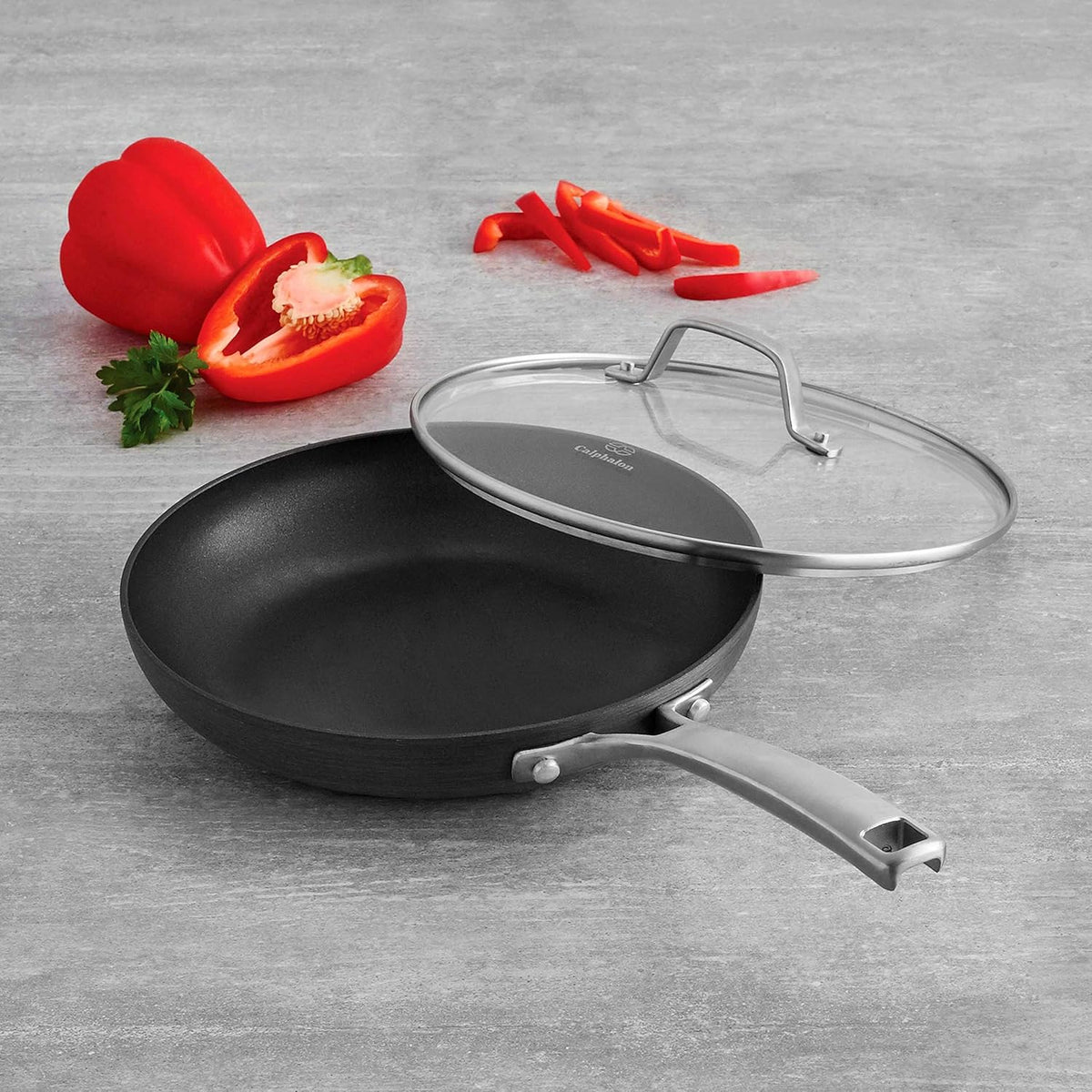 Black 10-Inch Omelette Fry Pan with Cover X406
