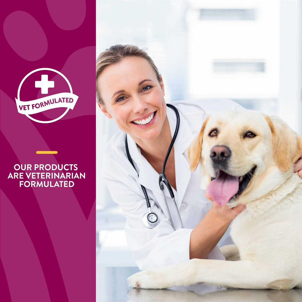Joint Health Soft Chews for Dogs F322861