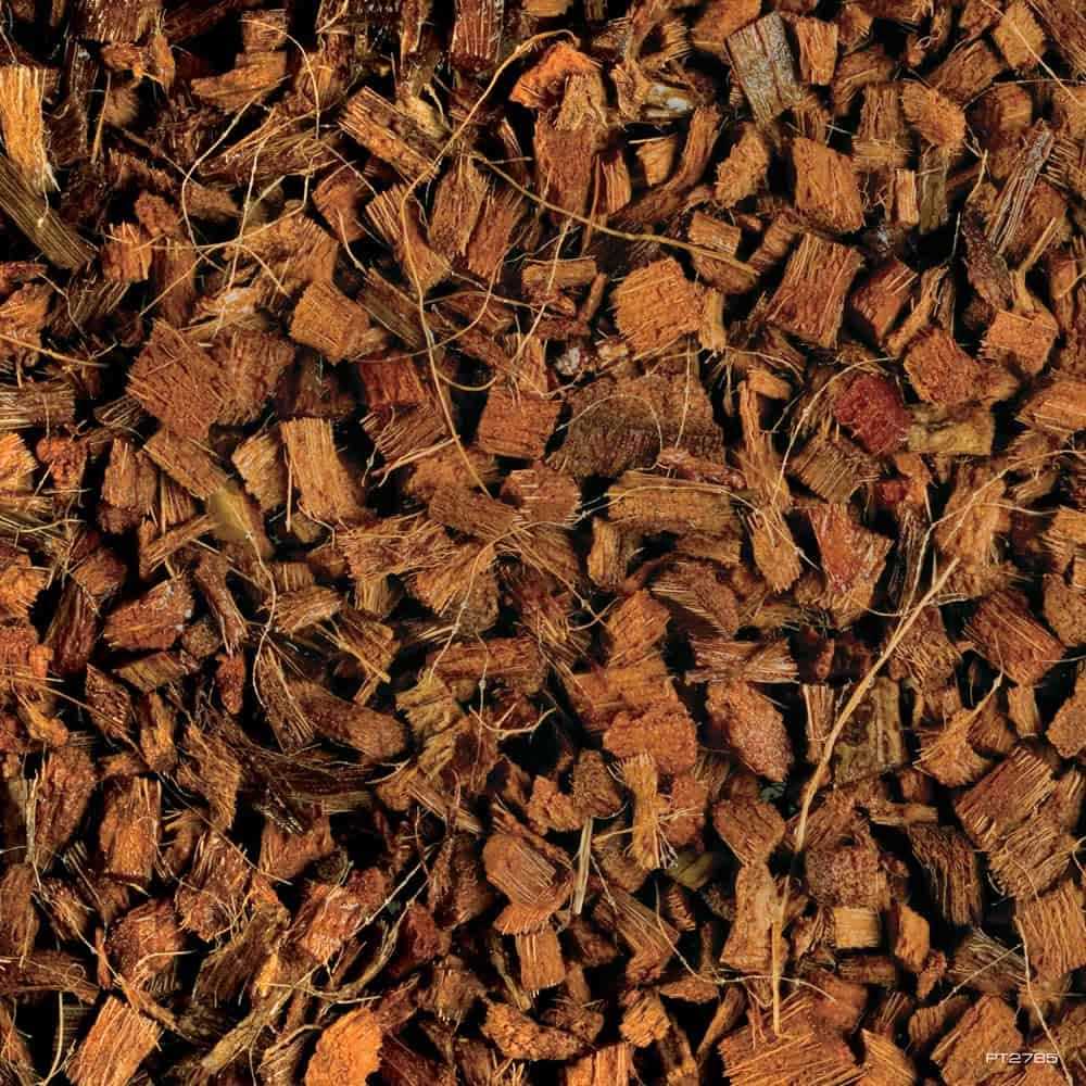 Coco Husk Reptile E677674