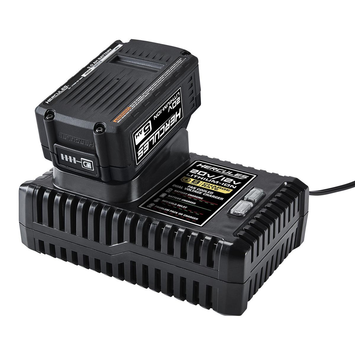 20/12V Dual-Voltage Lithium-Ion Battery Charger X650791