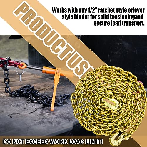 5/16 Inch x 20 Foot Transport Binder Chain with Clevis Grab Hooks H217