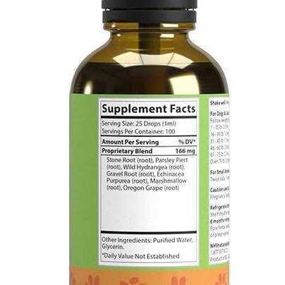 Natural Remedy for Kidney Disease and Kidney Failure in Cats D855316