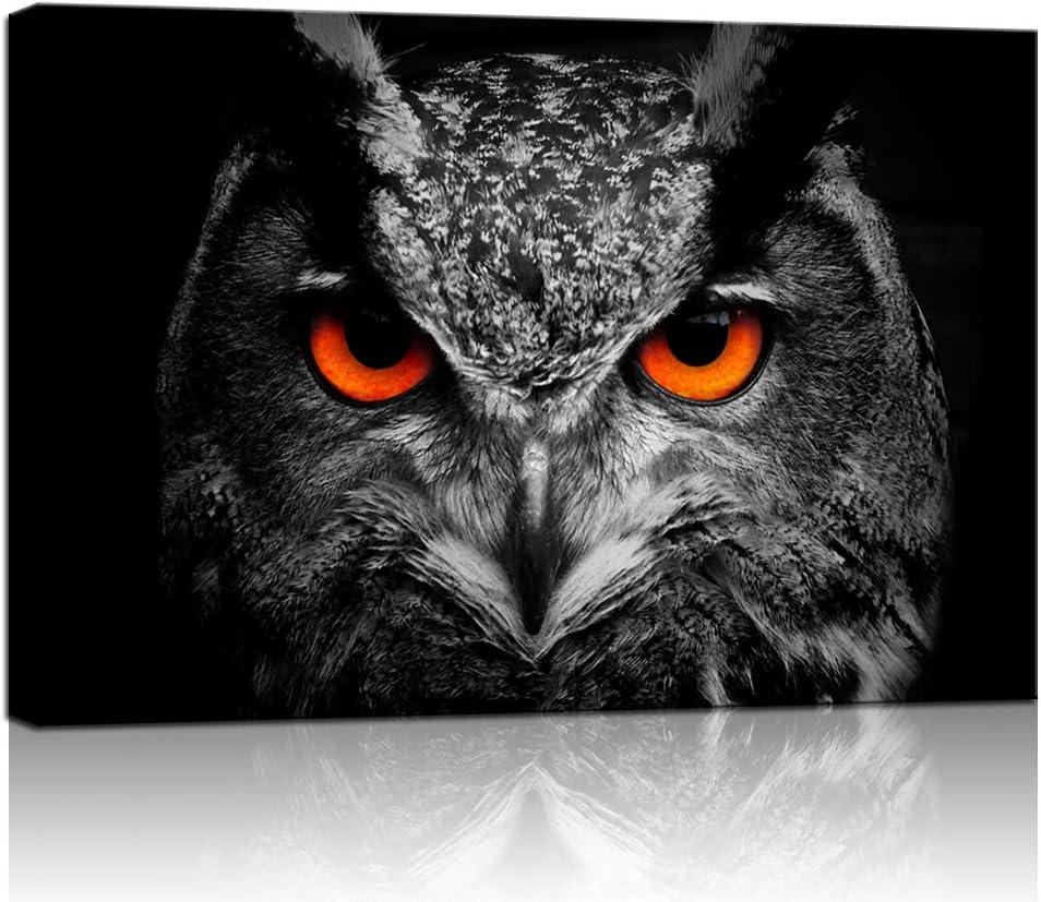 Black White Owl with Red Eyes Canvas Painting Framed Artwork X7206