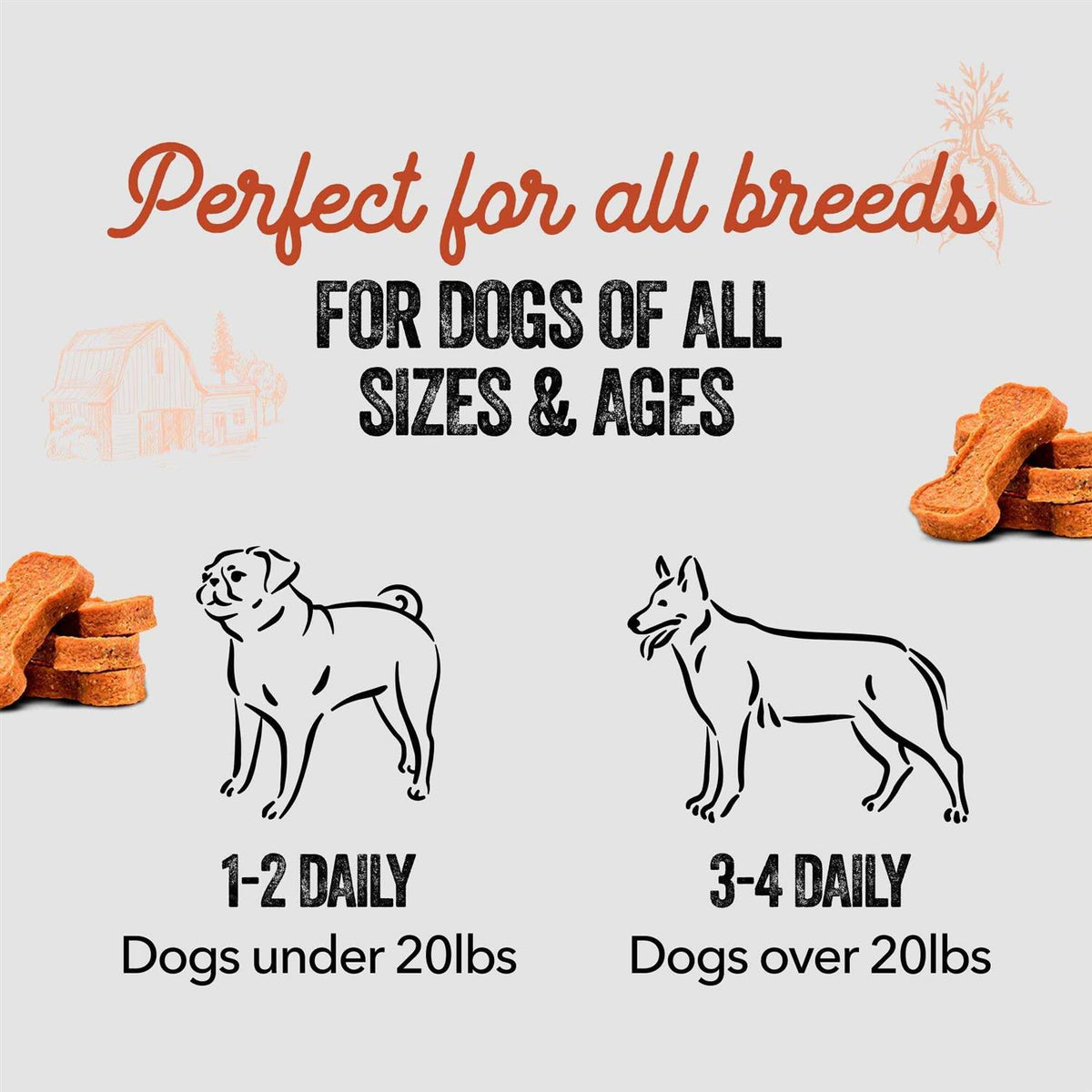 Sweet Potato Dog Bones E6483