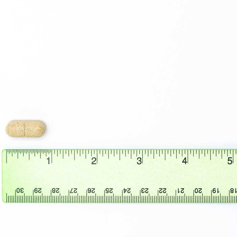 600 mg Hip & Joint Supplement for Dogs V922
