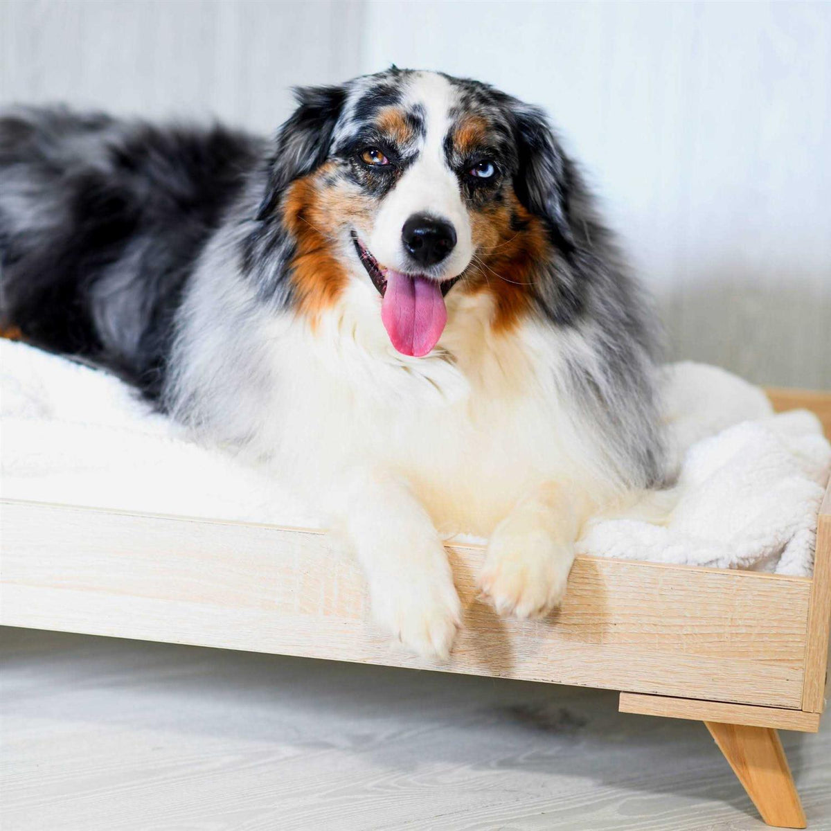 Raised Wooden Dog Bed Frame Q495634
