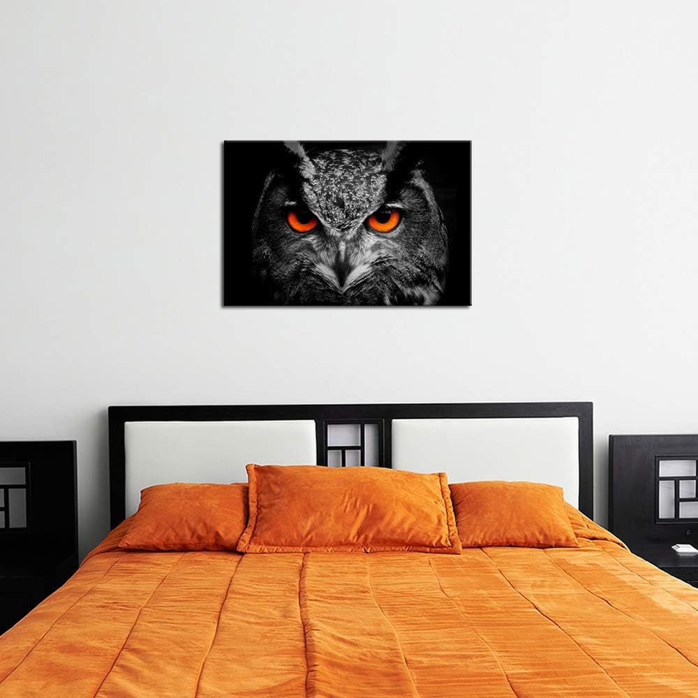 Black White Owl with Red Eyes Canvas Painting Framed Artwork X7206