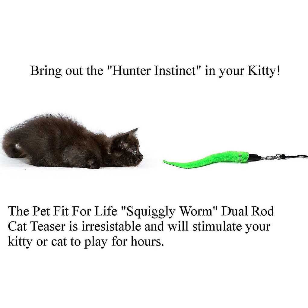 Cat Wand Toy 5-Piece Worm Teaser V83757
