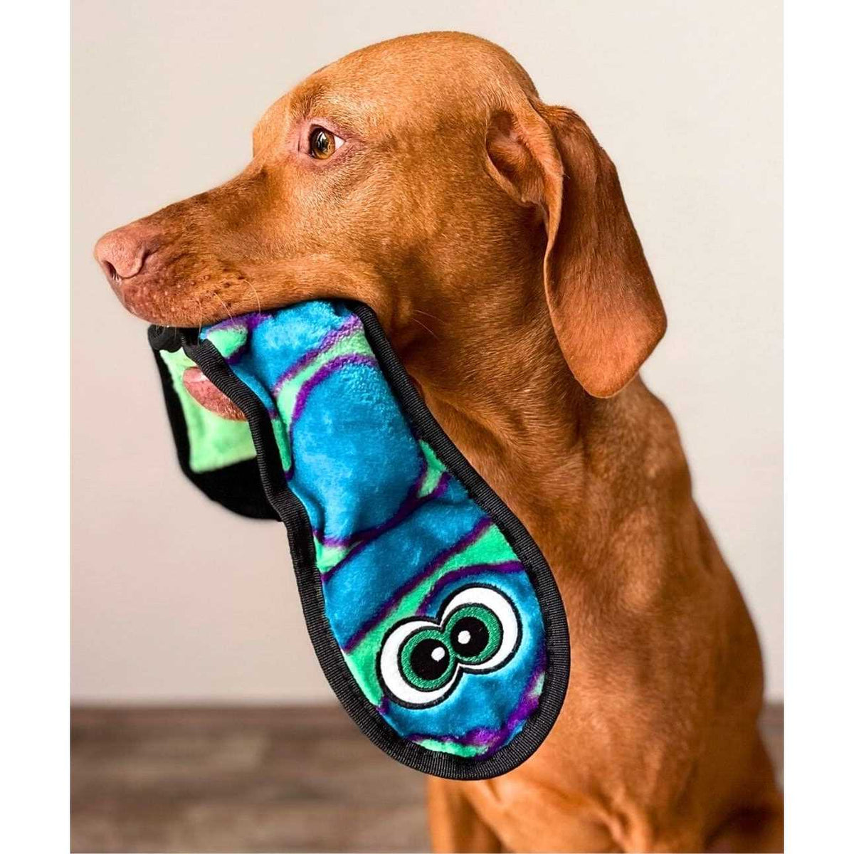 Snake Dog Toy I73522