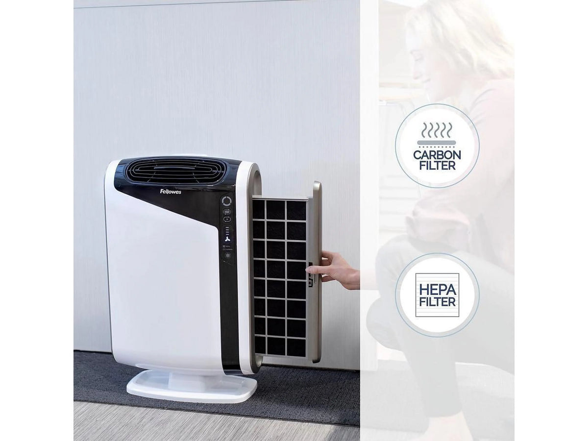 Air Purifier for Large Rooms 300-600 Sq. Ft. B613