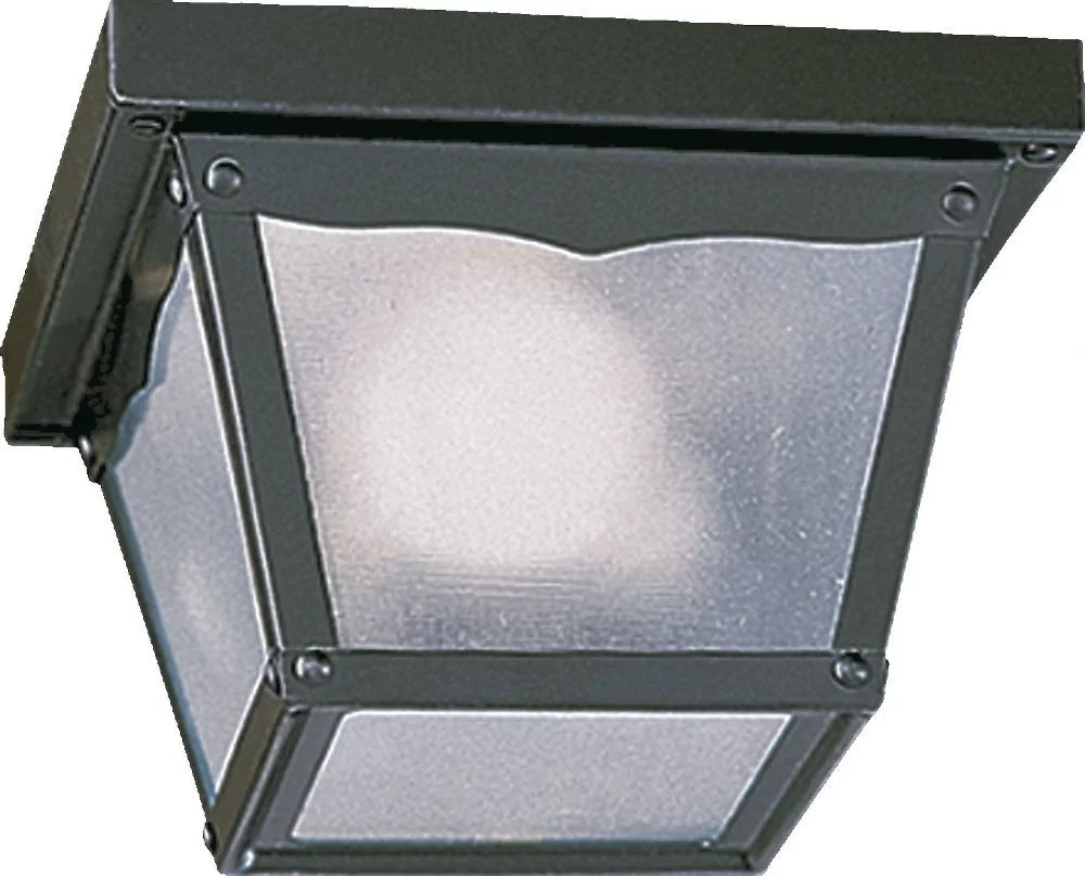 1 Light Outdoor Cage Flush Mount H82493