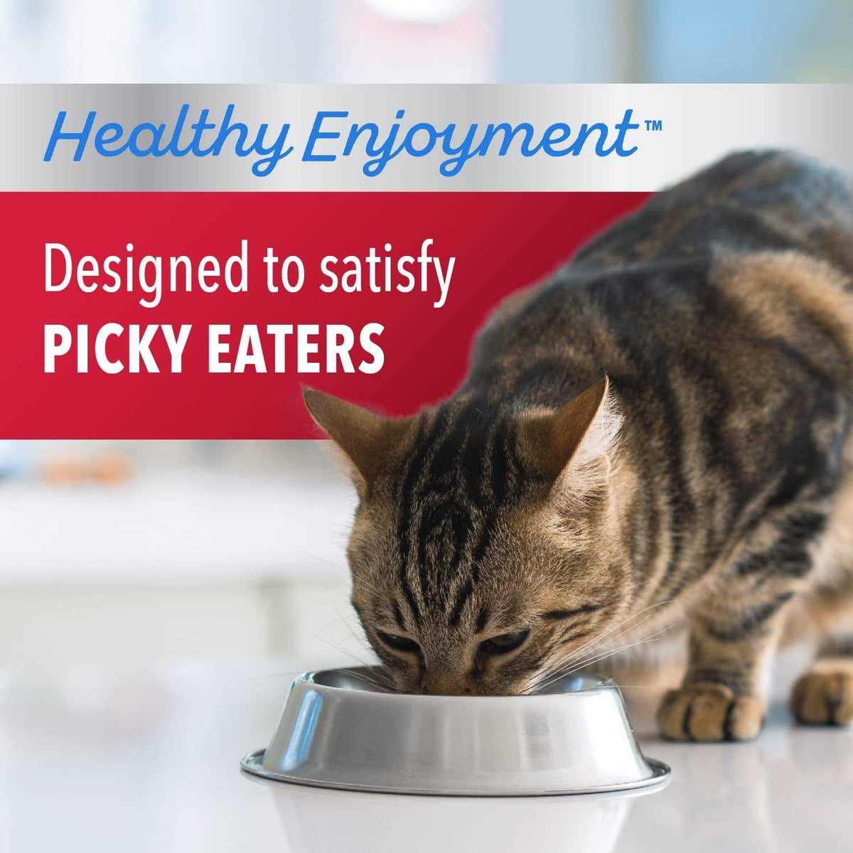 Chicken & Beef Dry Cat Food E864827