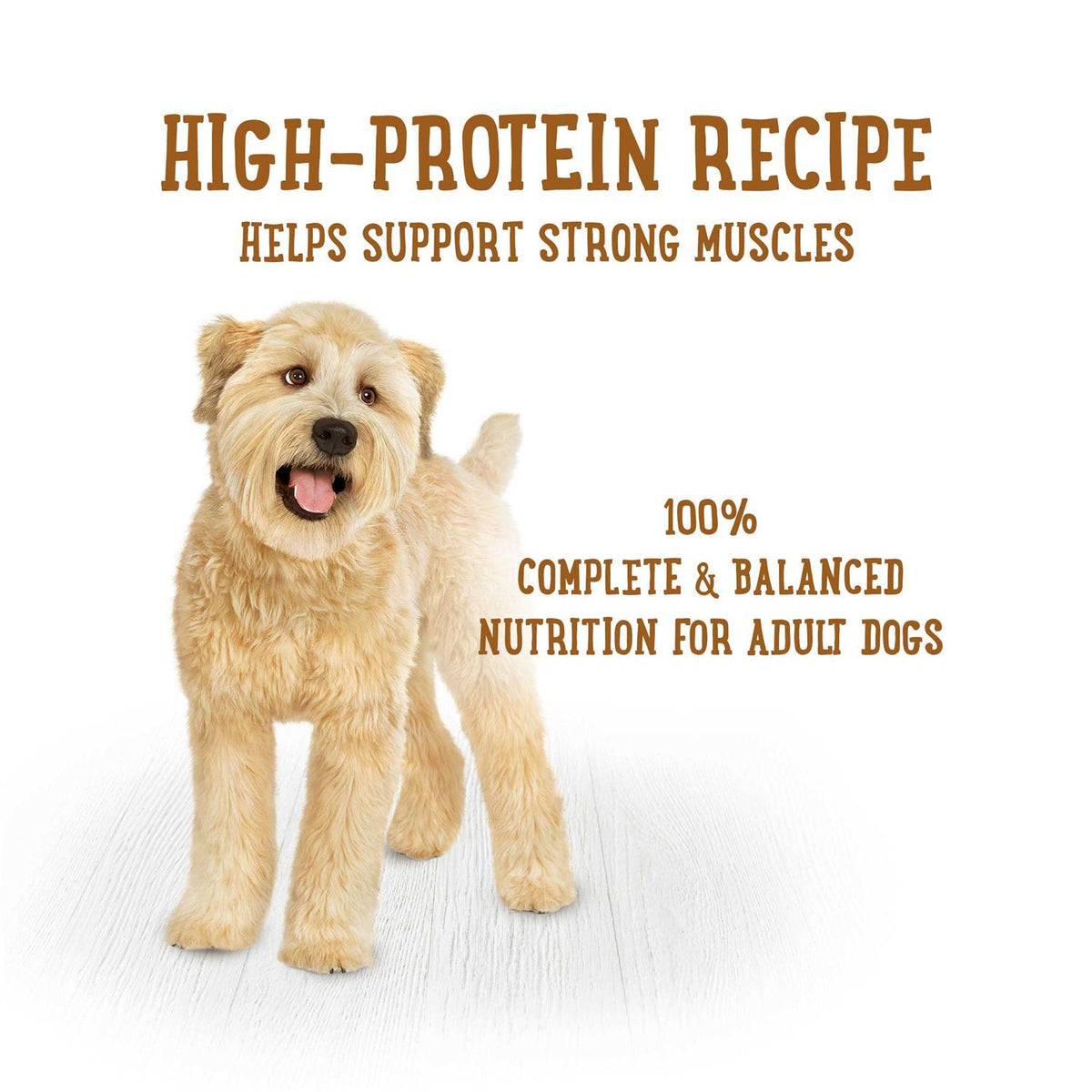 Beef Stew Dog Food W265