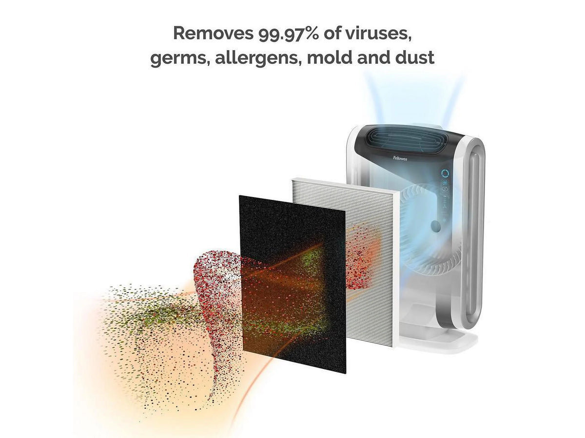 Air Purifier for Large Rooms 300-600 Sq. Ft. B613