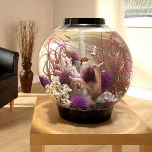 Classic 60 Aquarium with LED O2782