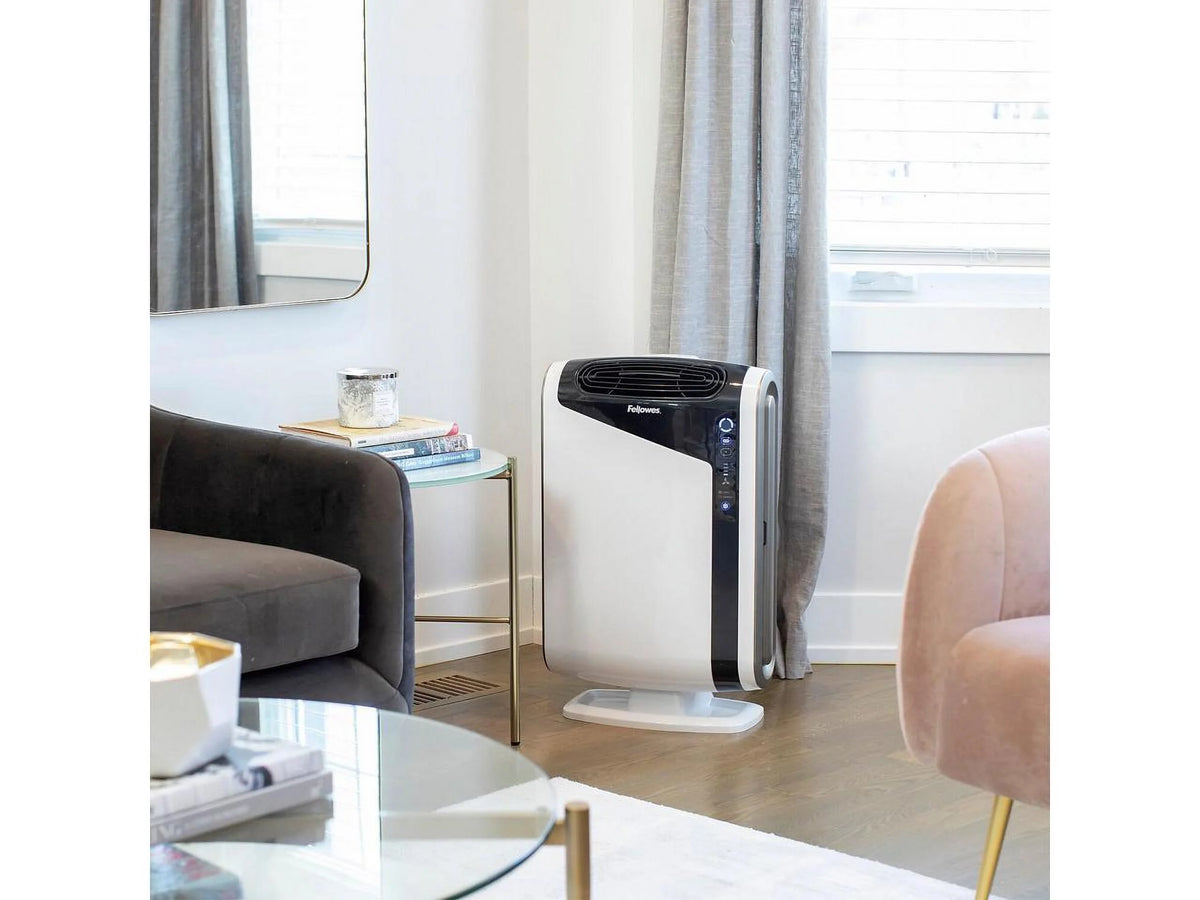 Air Purifier for Large Rooms 300-600 Sq. Ft. B613