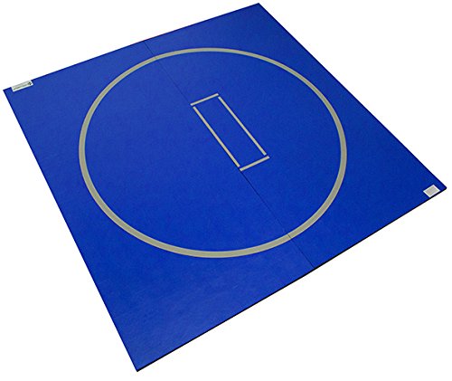 10'x10' Wrestling Mat F118178