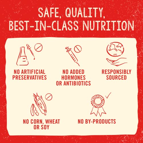 Freeze Dried Raw Super Beef Meal Mixer Dog Food Topper – 3.5 oz Bag P618665