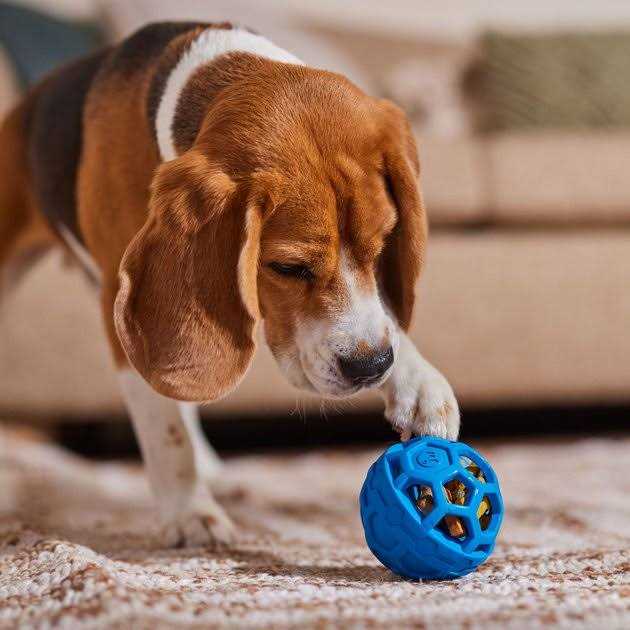 Dog Toy W894