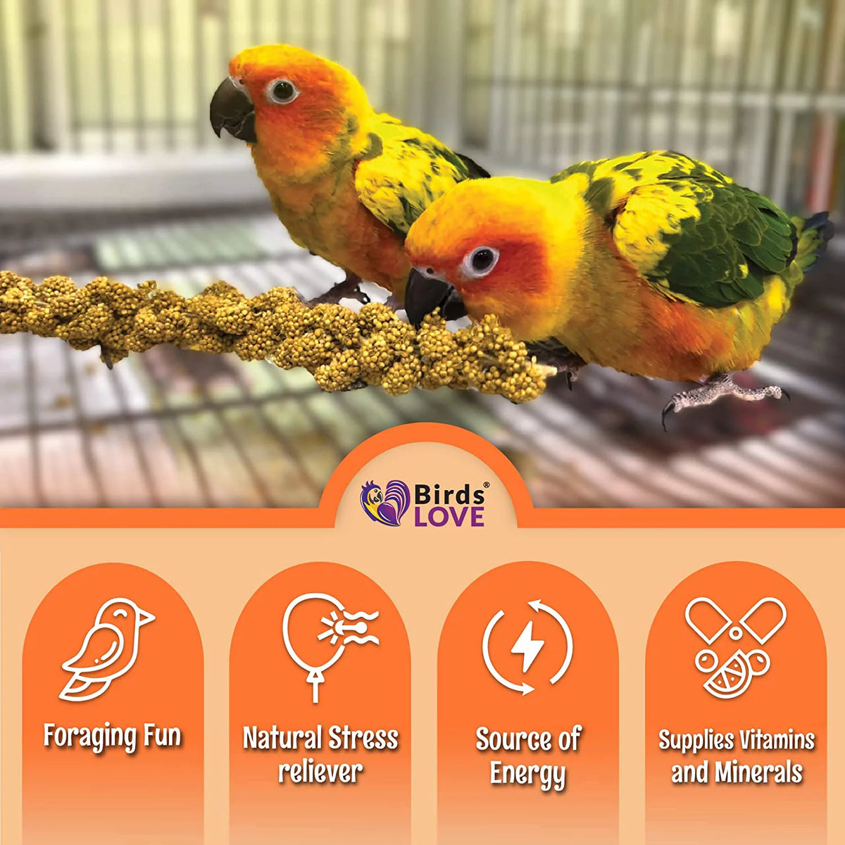 Spray Millet Bird Treat 1LB I407