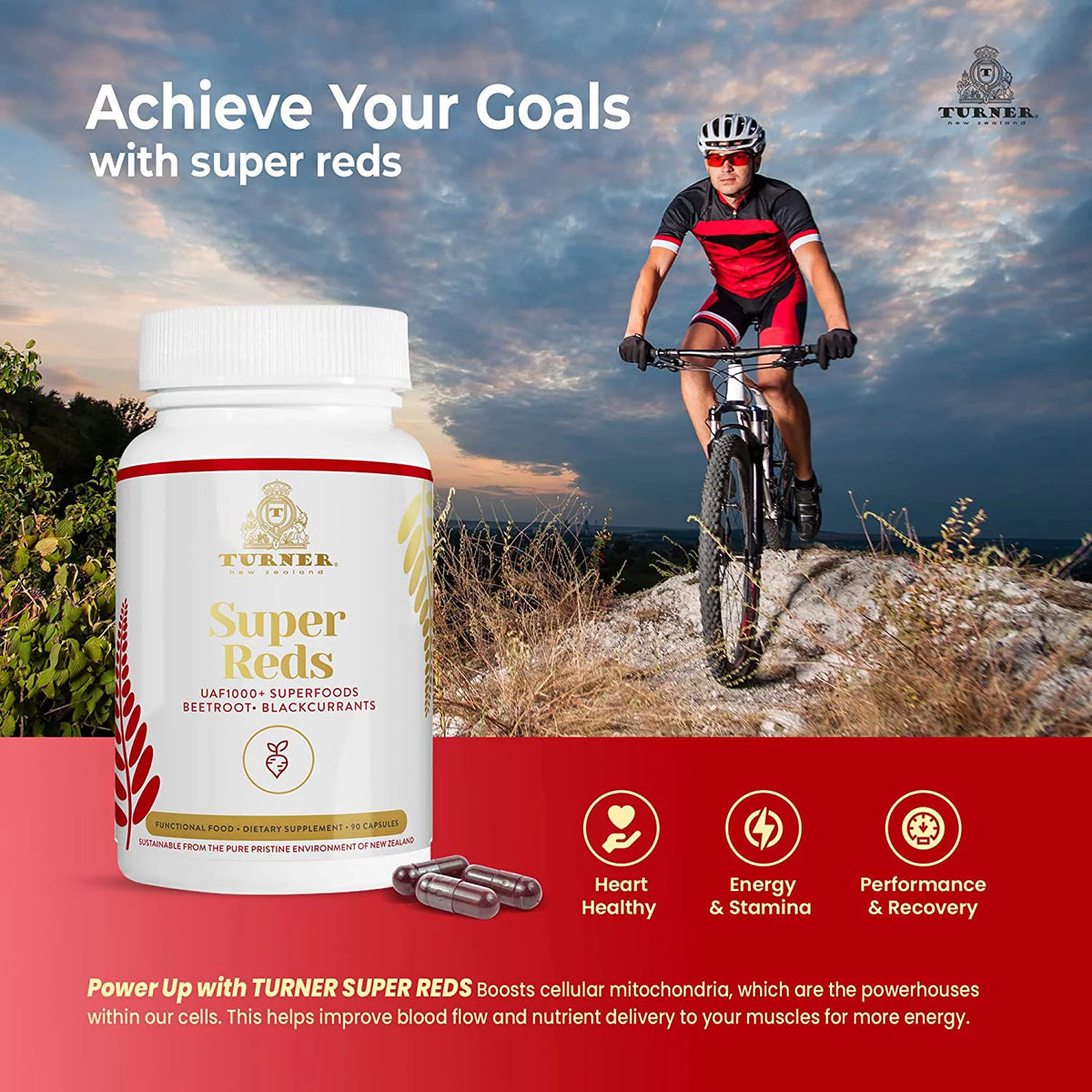 360 Pills Antioxidant Superfood Capsules M34333