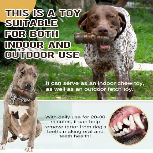 Large Durable Squeaky Dog Chew Toy S702