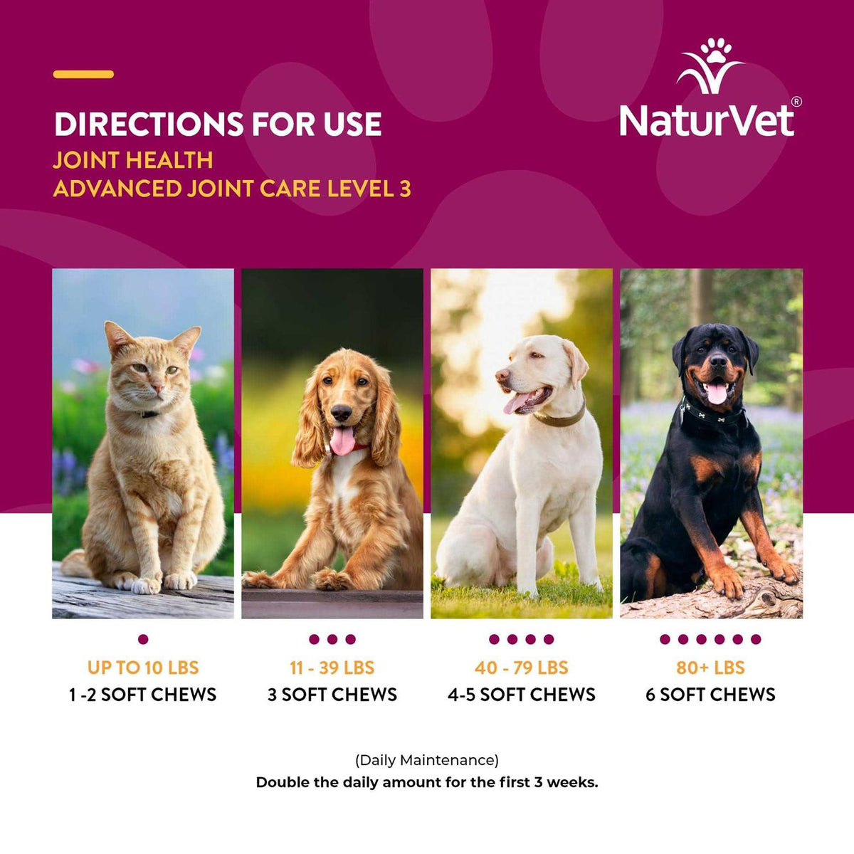 Joint Health Soft Chews for Dogs F322861