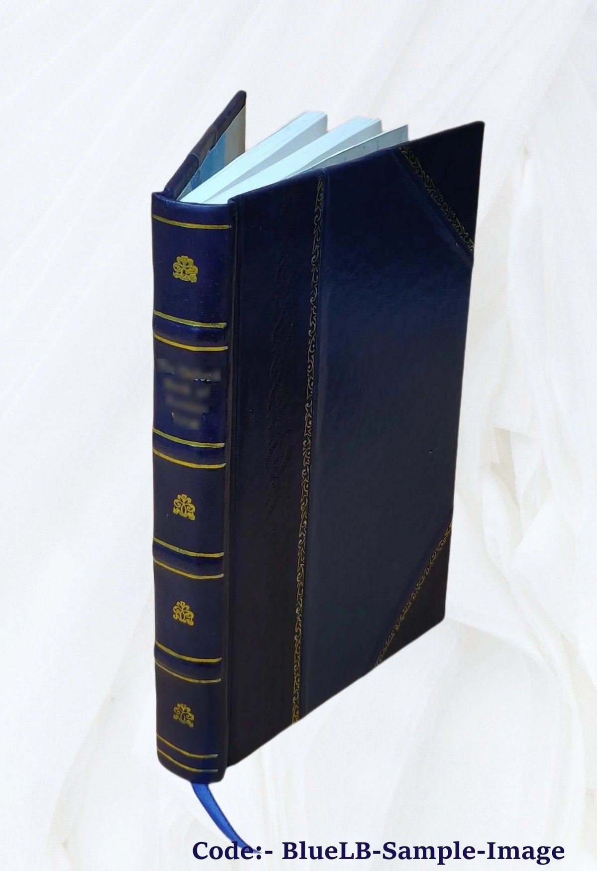 Leather Bound Book V210669