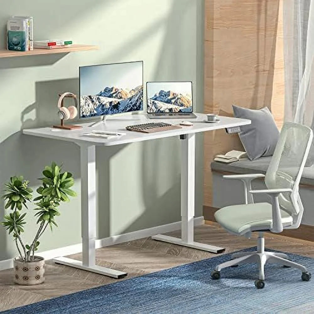 Electric Adjustable Standing Desk 55 x 24 with Memory Preset J1058