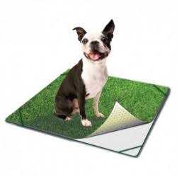 Indoor Turf Dog Potty H43227