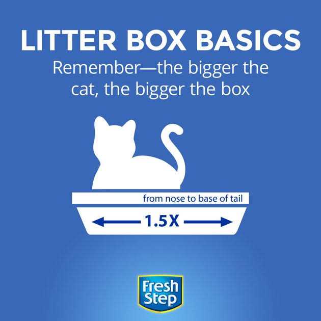 Clumping Cat Litter Z90888