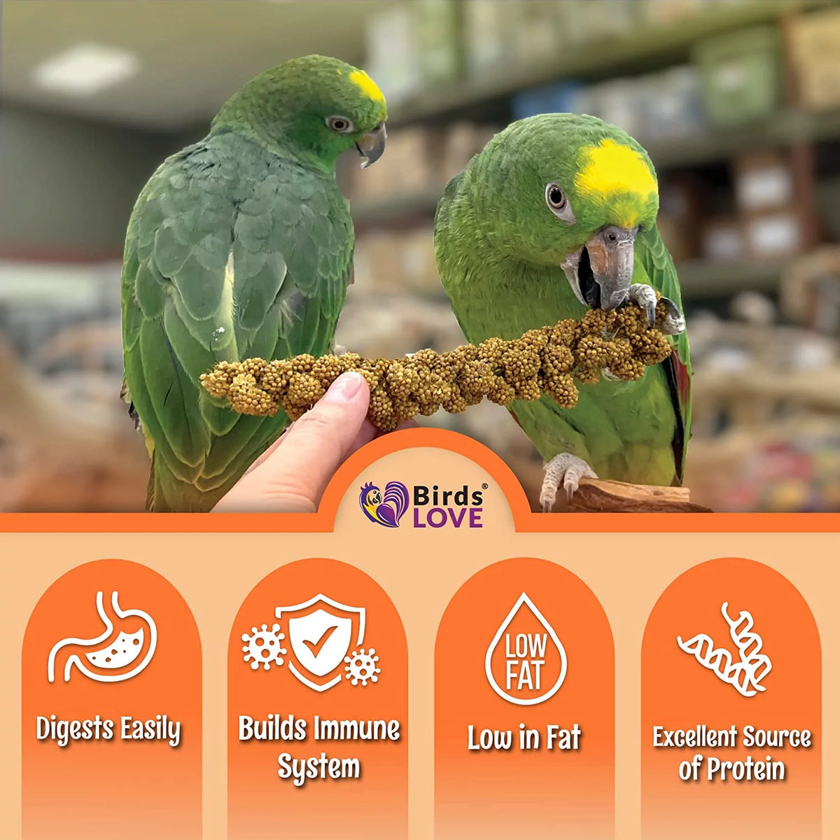 Spray Millet Bird Treat 1LB I407