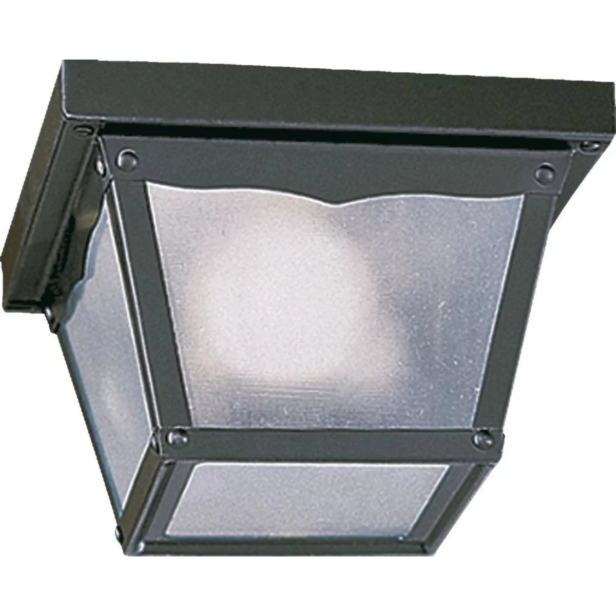 1 Light Outdoor Cage Flush Mount H82493