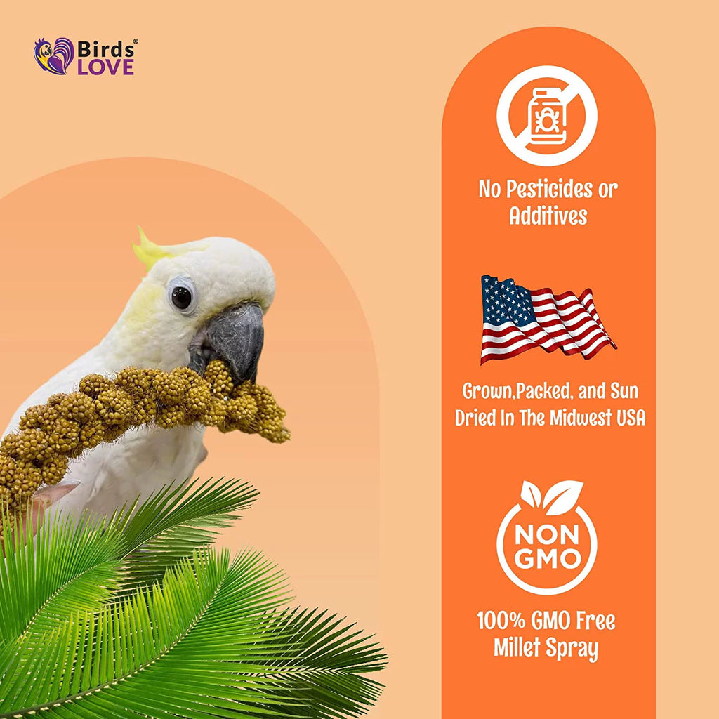 Spray Millet Bird Treat 1LB I407