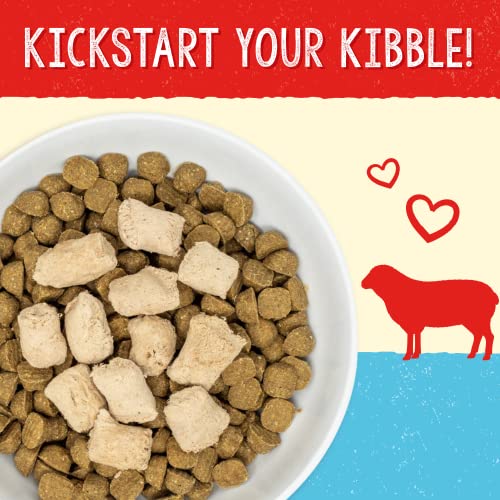 Freeze Dried Raw Super Beef Meal Mixer Dog Food Topper – 3.5 oz Bag P618665