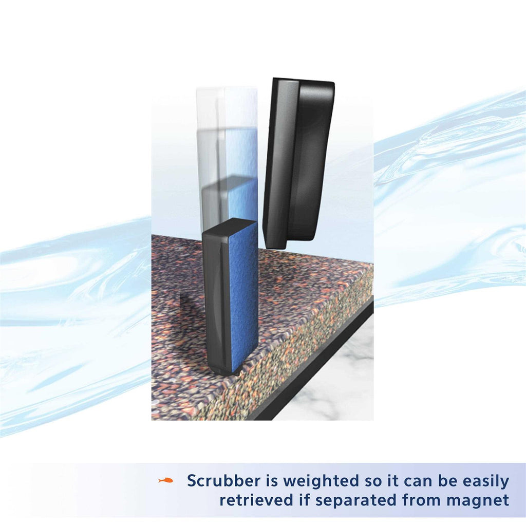 Algae Cleaning Magnet Q956