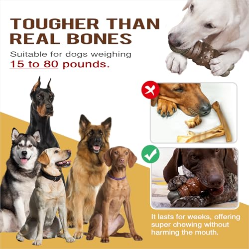 Large Durable Squeaky Dog Chew Toy S702