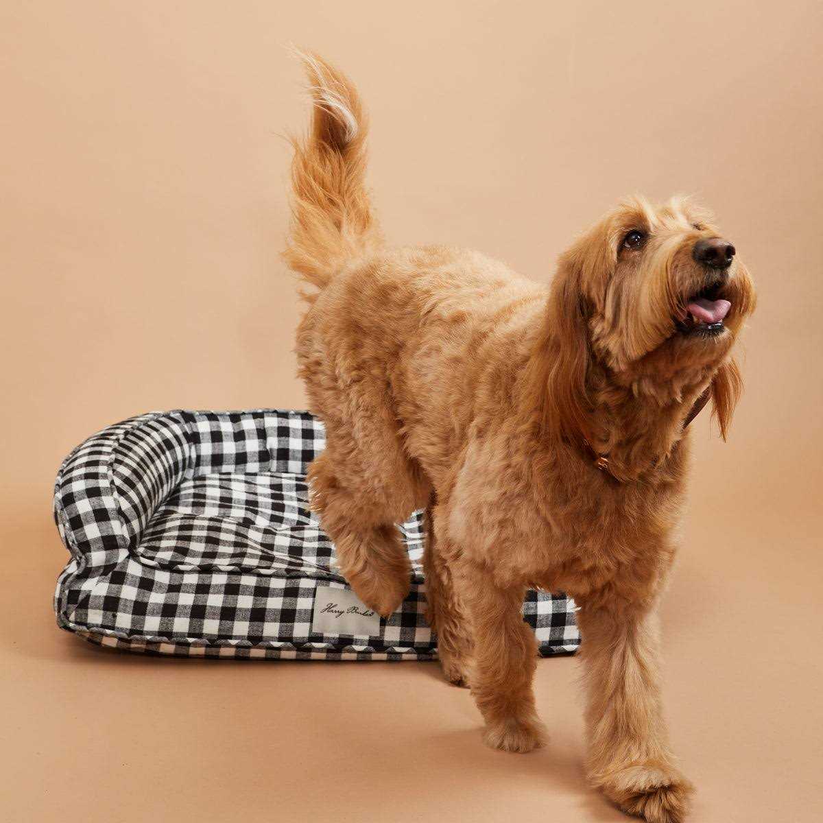 Buffalo Check Lounger C5704