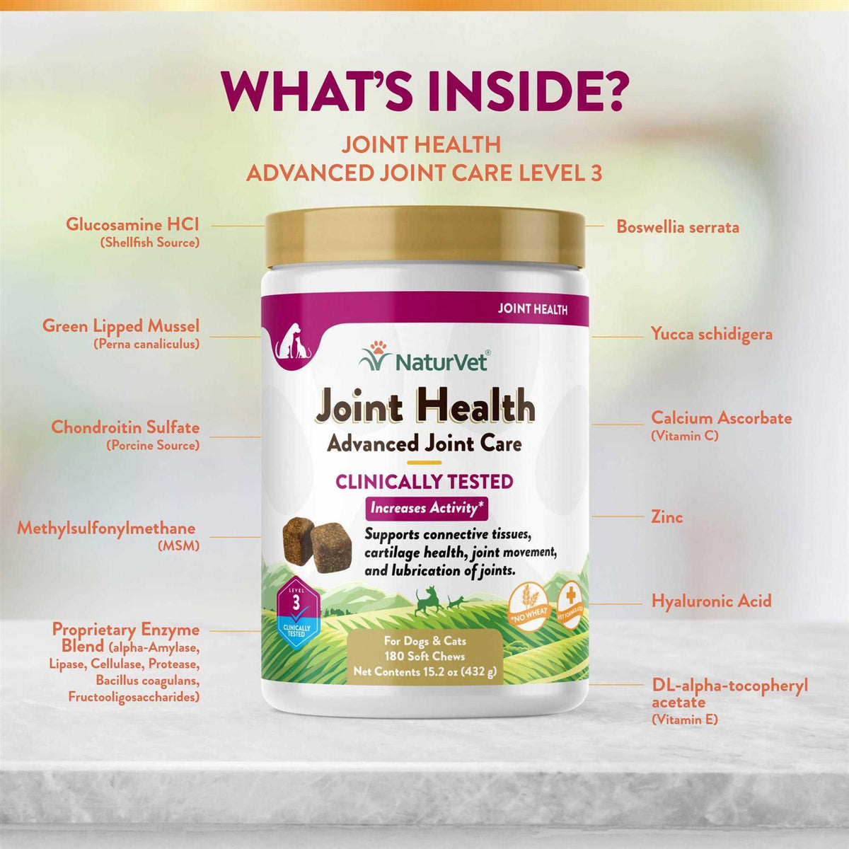 Joint Health Soft Chews for Dogs F322861