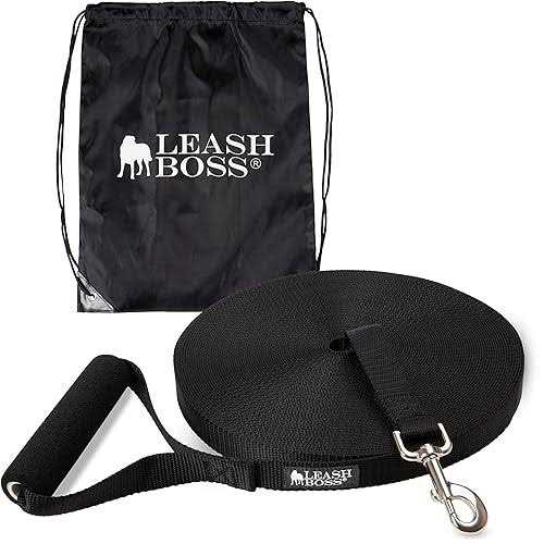 Dog Leash L161430