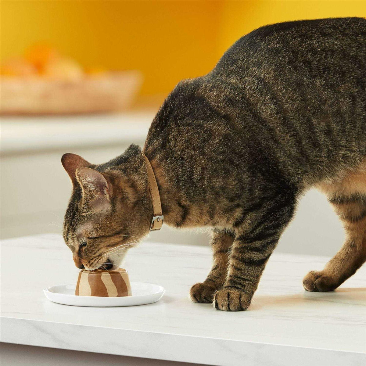 Tasty Layers Cat Food X27609