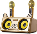 Portable Cat Karaoke Machine with 2 Wireless Microphones K304